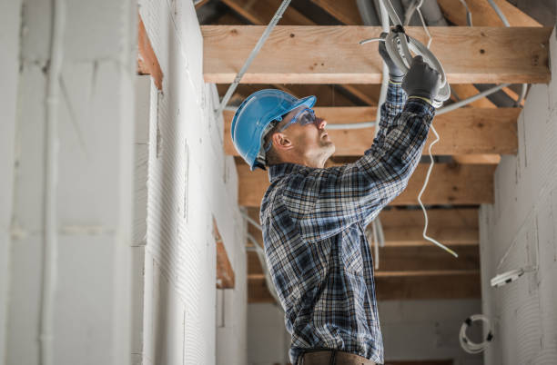 Best Electrician for Home Renovation  in Edwardsburg, MI